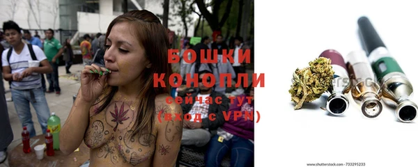 мяу мяу кристалл Корсаков
