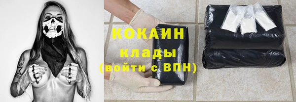 СК Коряжма