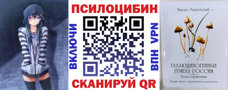 Купить где  Борзя  Галлюциногенные грибы Magic Shrooms 